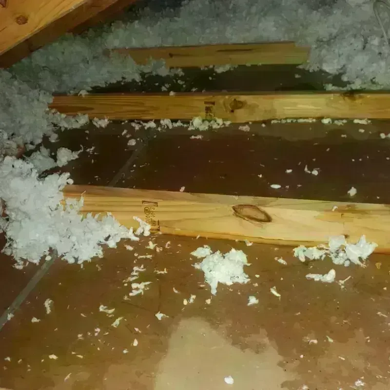 Attic Water Damage in Brownsboro, TX